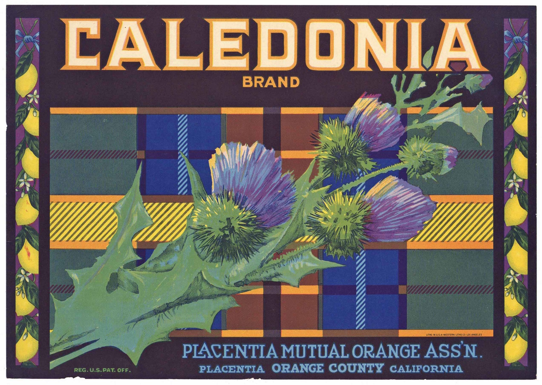 Caledonia Brand Vintage Placentia Lemon Crate Label