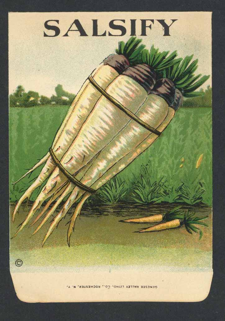 Salsify Antique Genesee Valley Litho. Seed Packet, 720