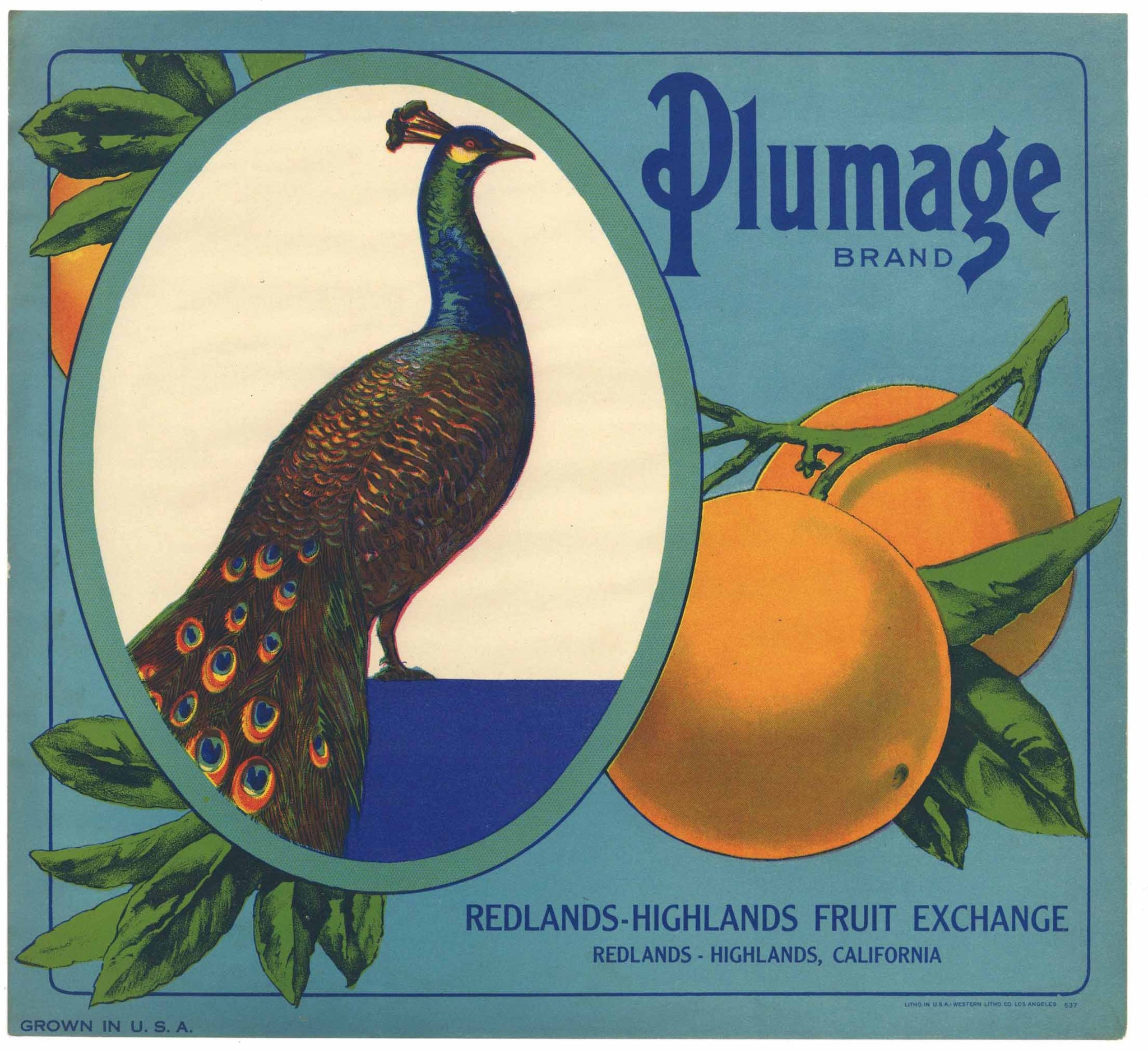 Plumage Brand Vintage Redlands Orange Crate Label