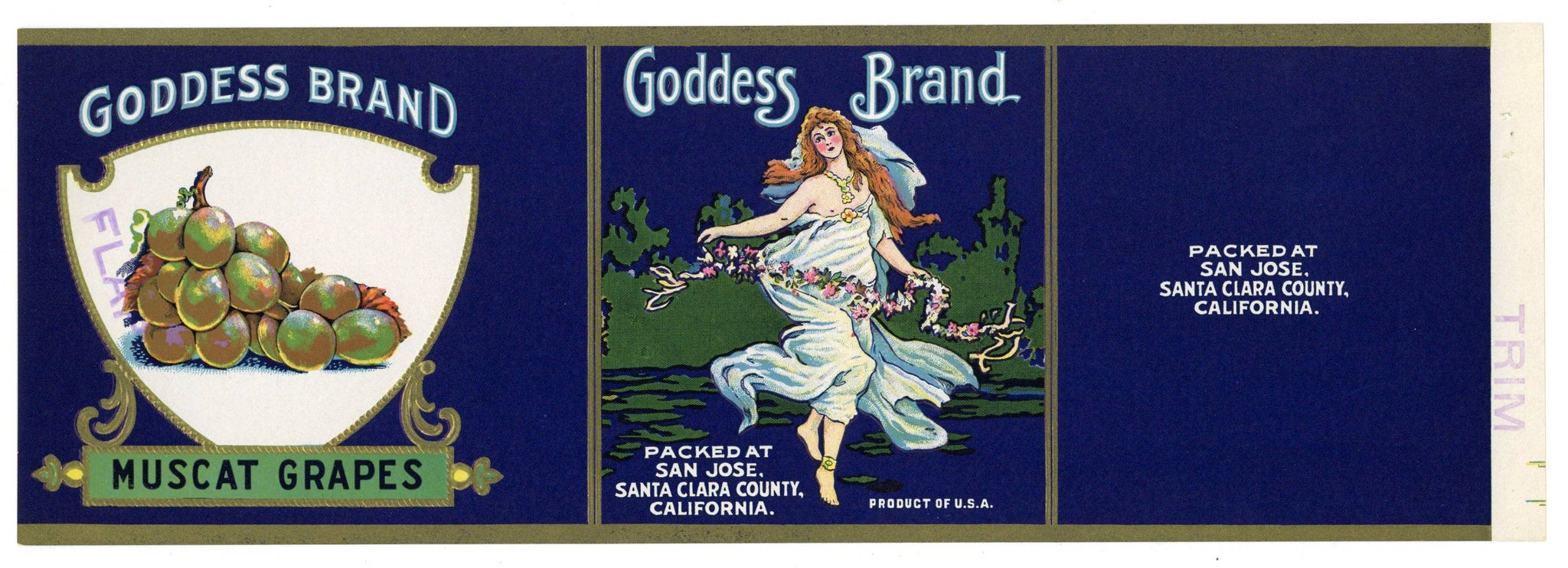 Goddess Brand Vintage San Jose California Muscat Grape Can Label