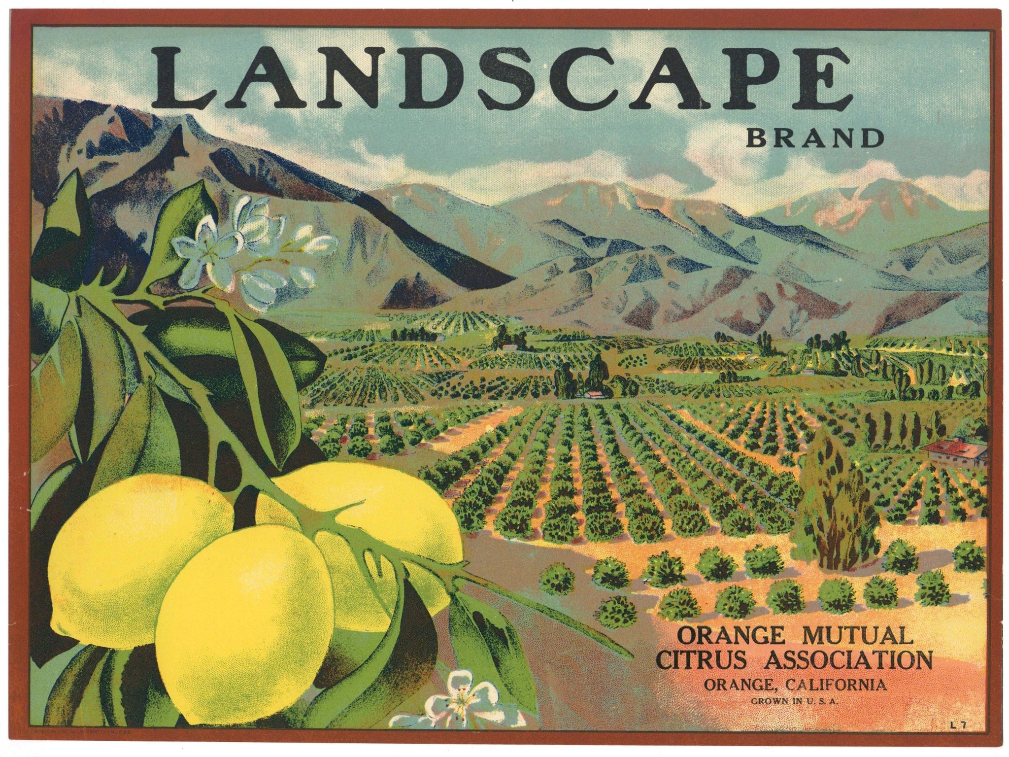 Tesoro Rancho Brand Vintage Placentia Orange Crate Label – thelabelman