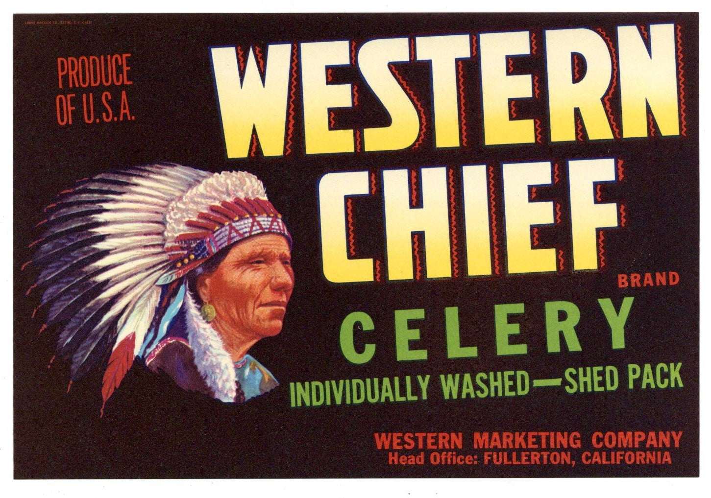 Western Chief Brand Vintage Fullerton California Celery Crate Label