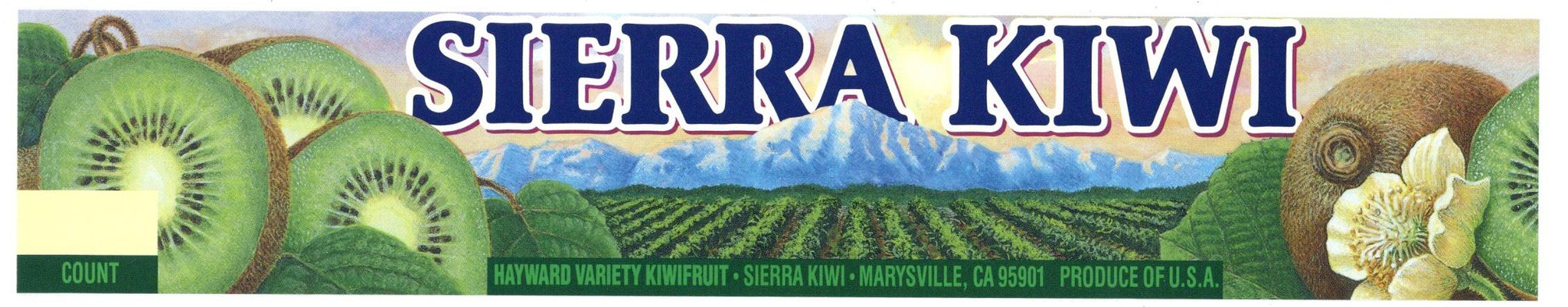 Sierra Kiwi Brand Vintage Marysville California Kiwifruit Crate Label