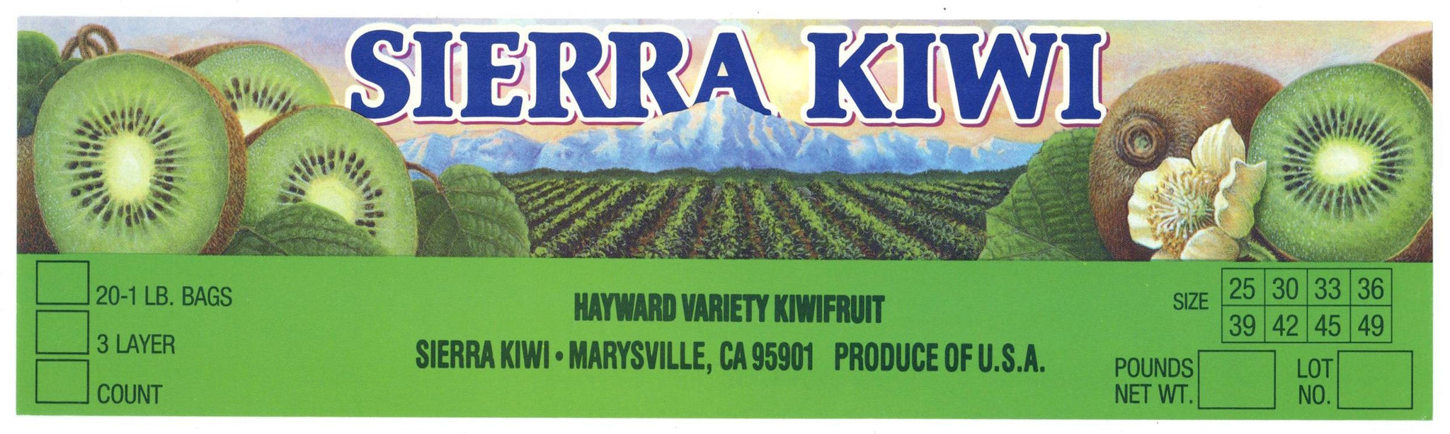 Sierra Kiwi Brand Vintage Marysville California Kiwifruit Crate Label, tall