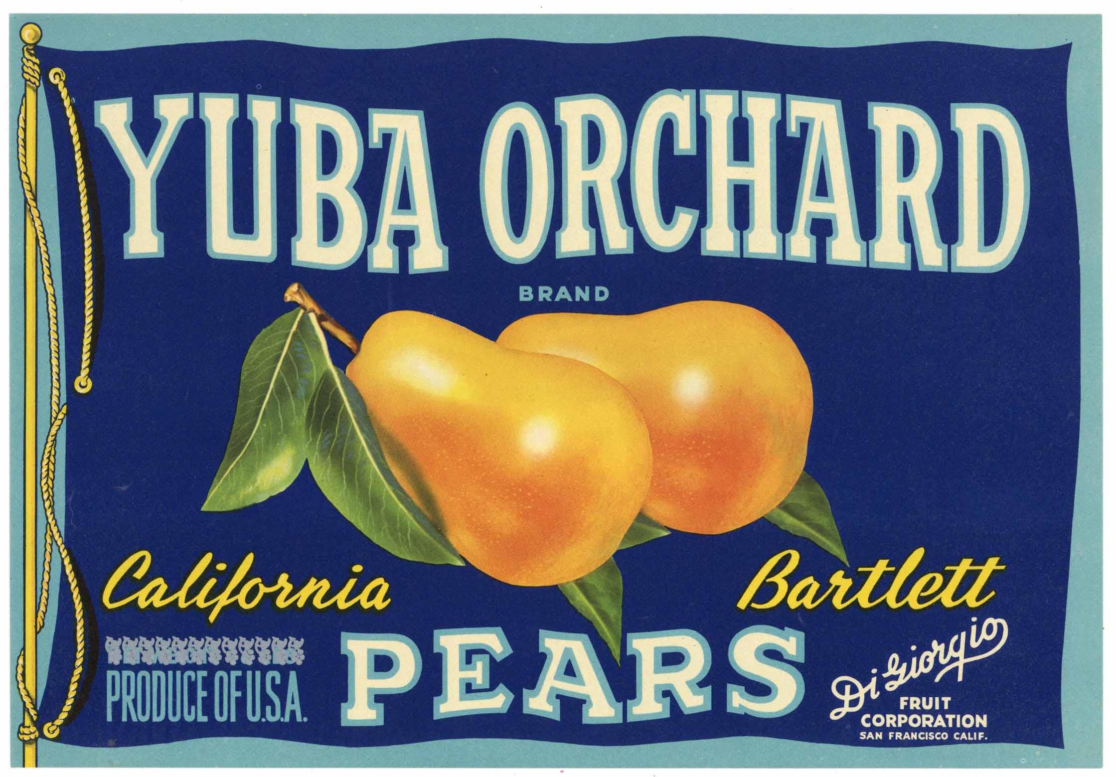 Yuba Orchard Brand Vintage San Francisco California Pear Crate Label ...