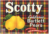 Scotty Brand Vintage Sacramento Delta Pear Crate Label
