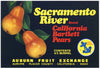 Sacramento River Brand Vintage Placer County California Pear Crate Label