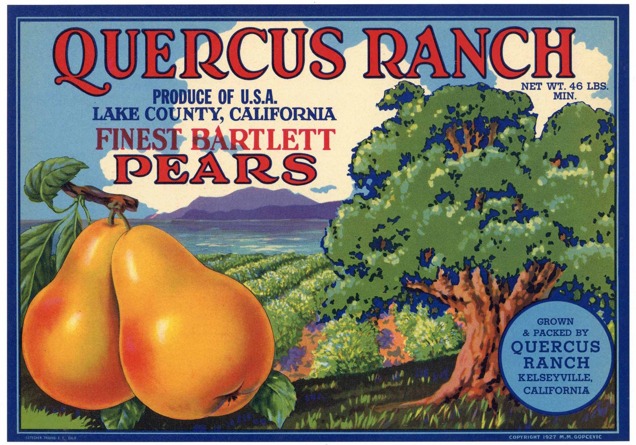 Quercus Ranch Brand Vintage Lake County California Pear Crate Label, 46 lbs