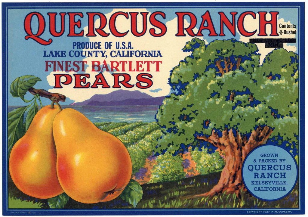Quercus Ranch Brand Vintage Lake County California Pear Crate Label, op