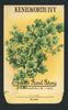 Kenilworth Ivy Antique Everitt's Seed Packet