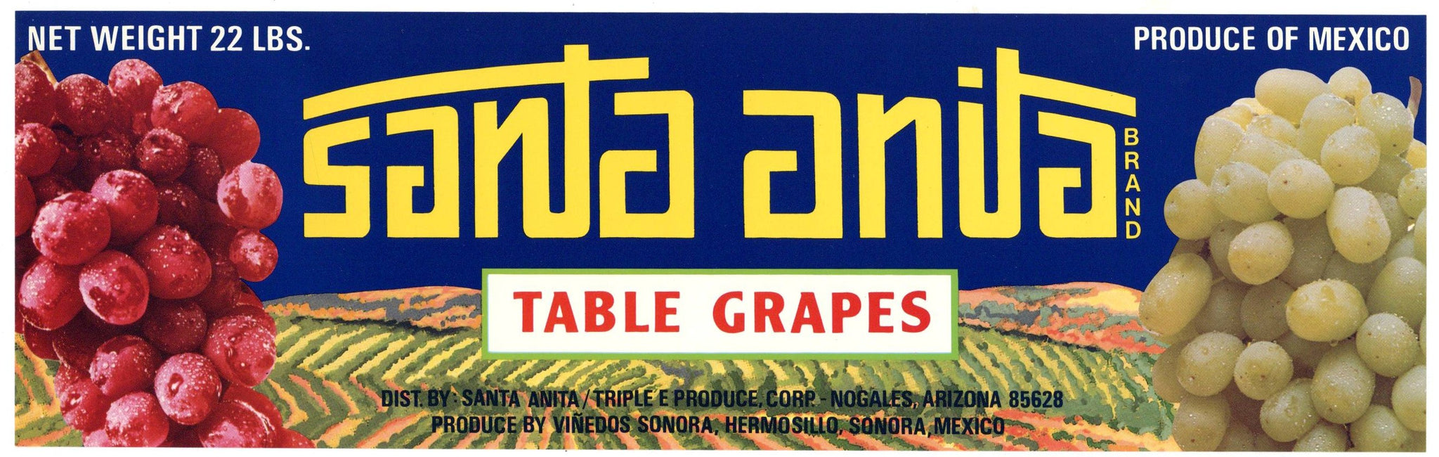 Santa Anita Brand Vintage Nogales Arizona Grape Crate Label
