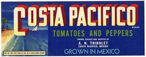 Costa Pacifico Brand Vintage Mexican Tomato Crate Label