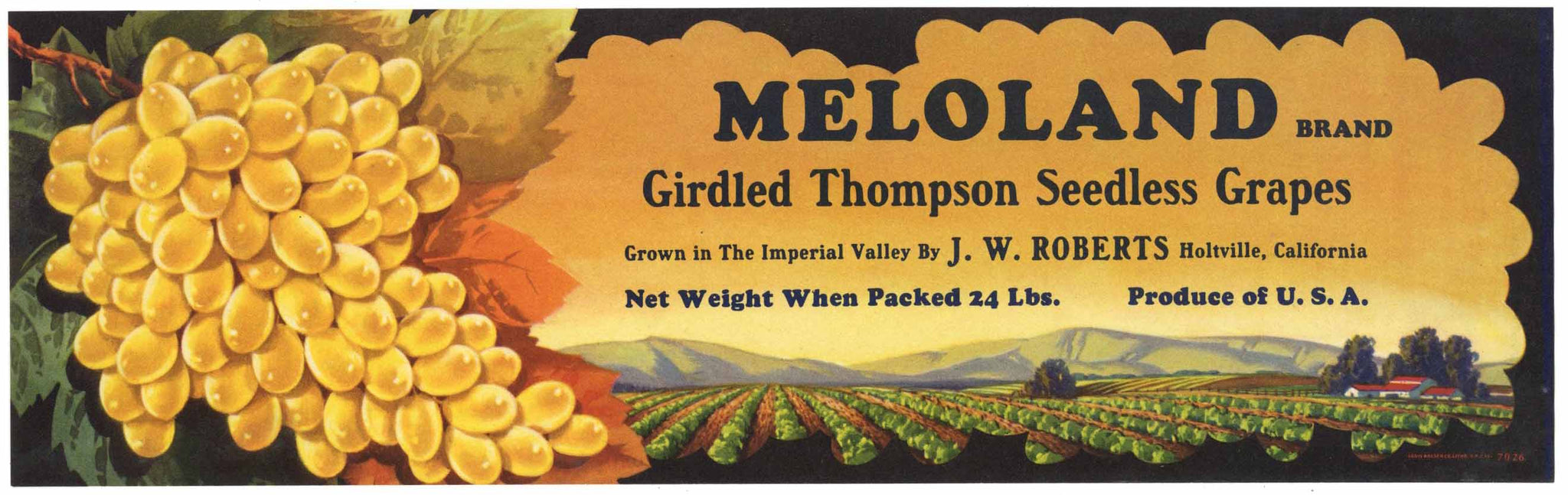 Meloland Brand Holtville California Grape Crate Label