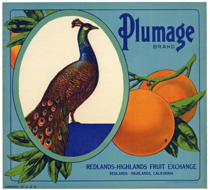 Plumage Brand Vintage Redlands Orange Crate Label