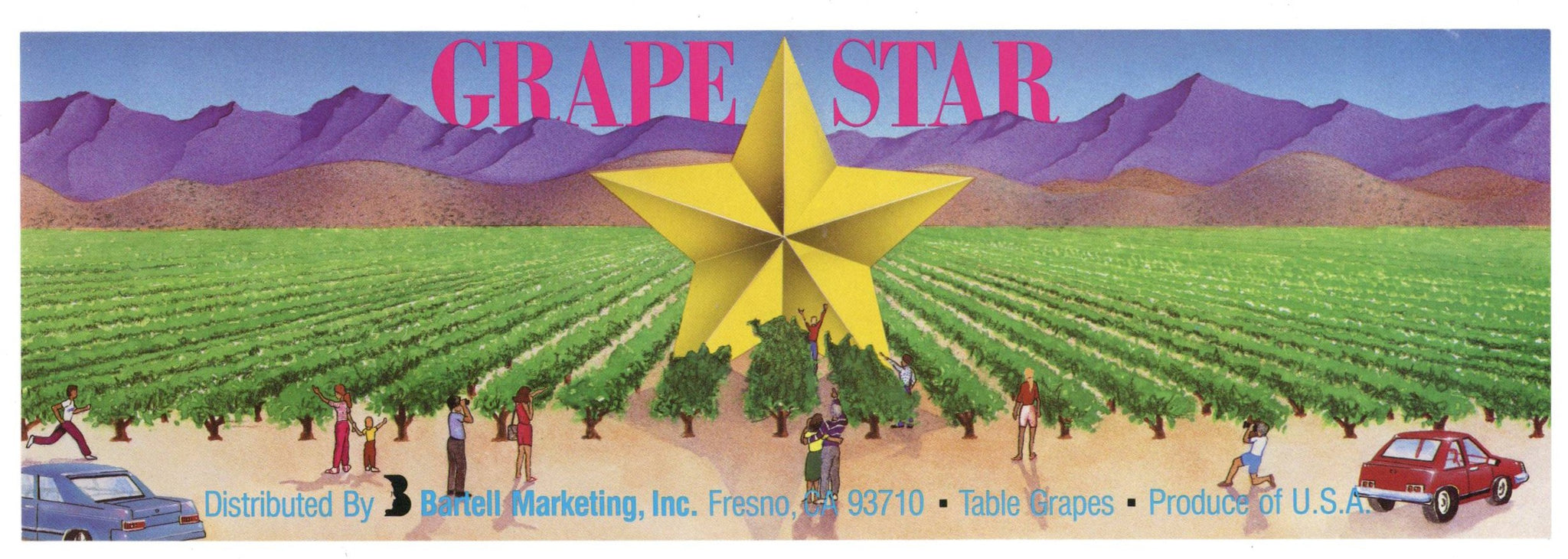 Grape Star Brand Vintage Fresno California Grape Crate Label