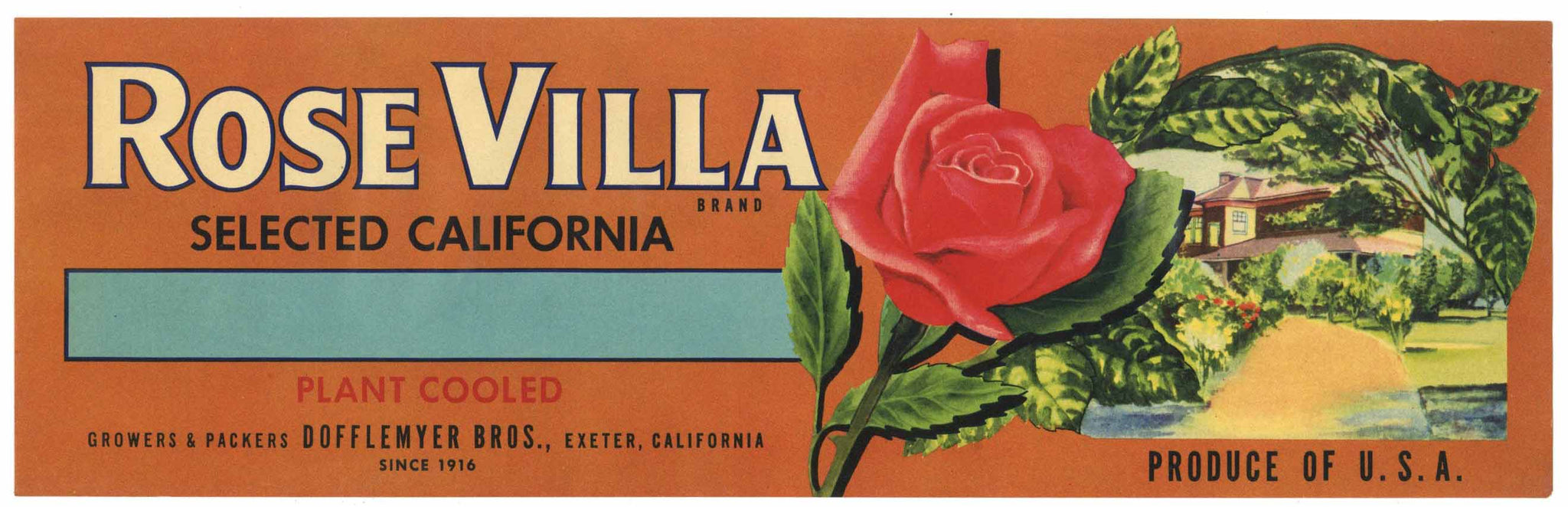 Rose Villa Brand Vintage Exeter California Grape Crate Label, wear