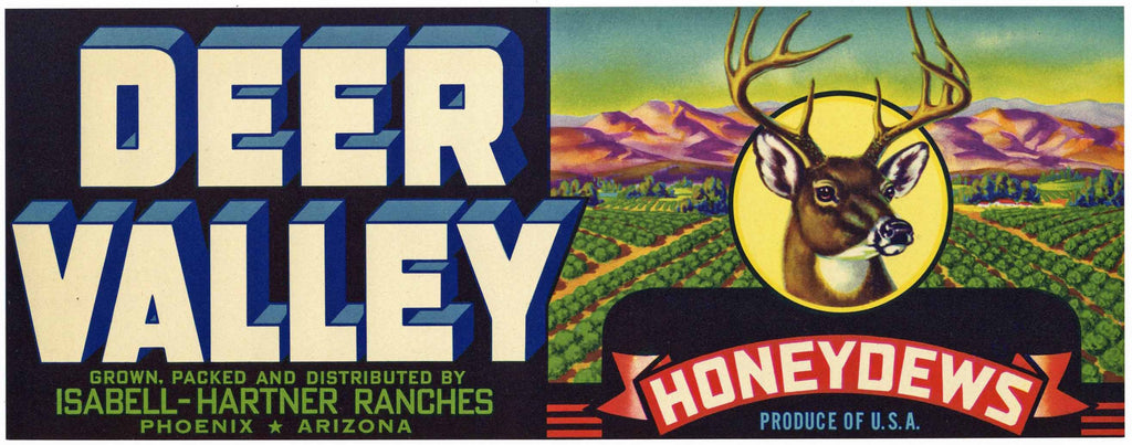 Deer Valley Brand Vintage Phoenix Arizona Melon Crate Label, Honeydew
