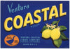 Coastal Brand Vintage Ventura California Lemon Crate Label