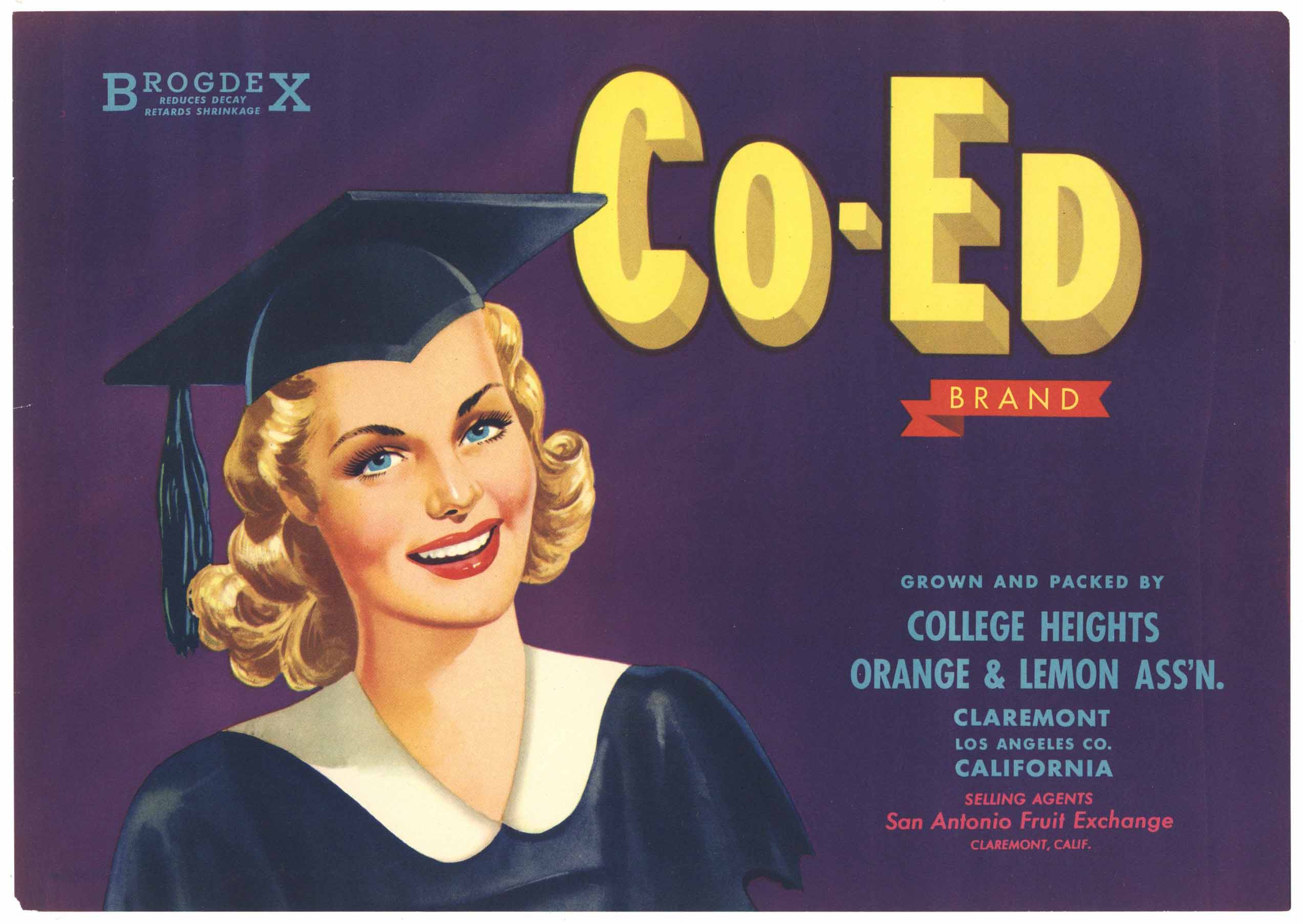 CO-ED Brand Vintage Claremont California Lemon Crate Label – thelabelman