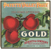 Payette Valley Fruit Brand Vintage Idaho Apple Crate Label, gold, damage