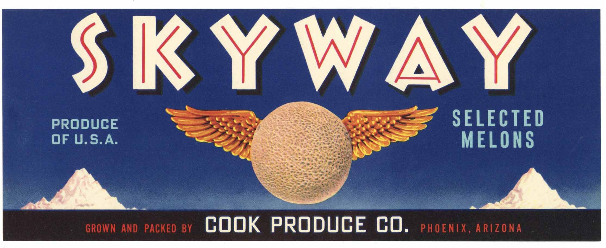 Skyway Brand Vintage Phoenix Arizona Melon Crate Label, blue