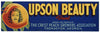 Upson Beauty Brand Vintage Thomaston Georgia Peach Crate Label