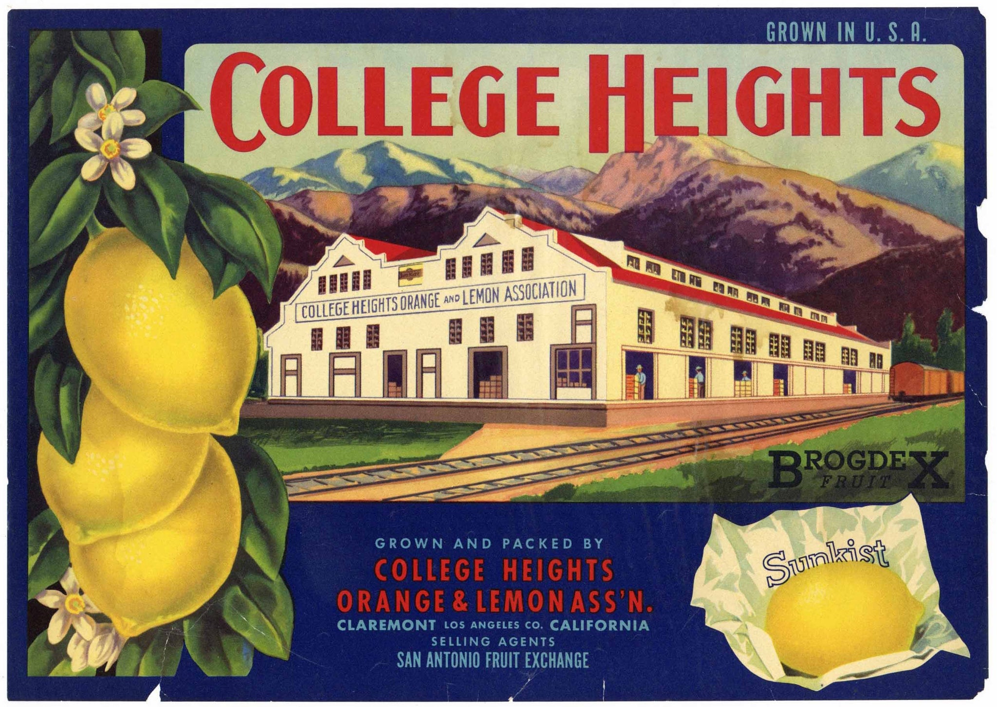 College Heights Brand Vintage Claremont California Lemon Crate Label, damage