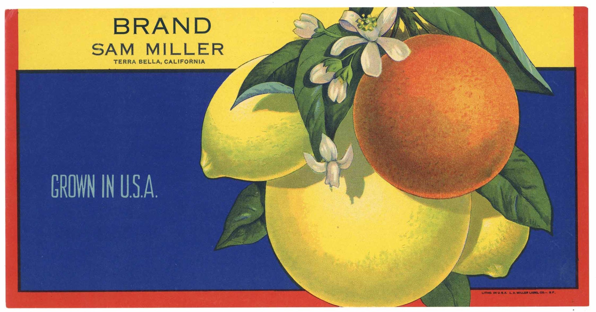 Sam Miller Brand Vintage Terra Bella California Citrus Crate Label, lemon