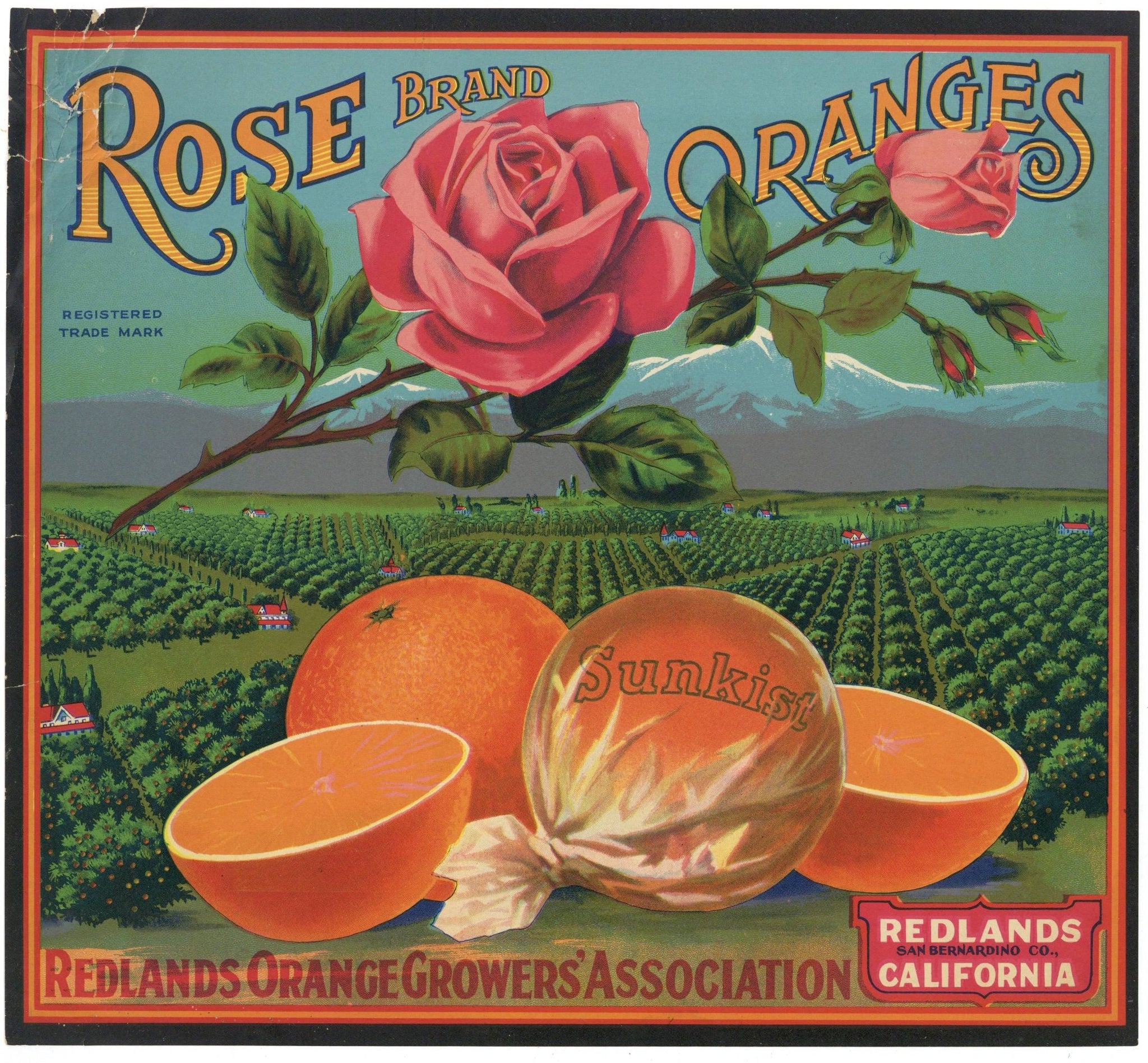 Rose Brand Vintage Redlands California Orange Crate Label, damage