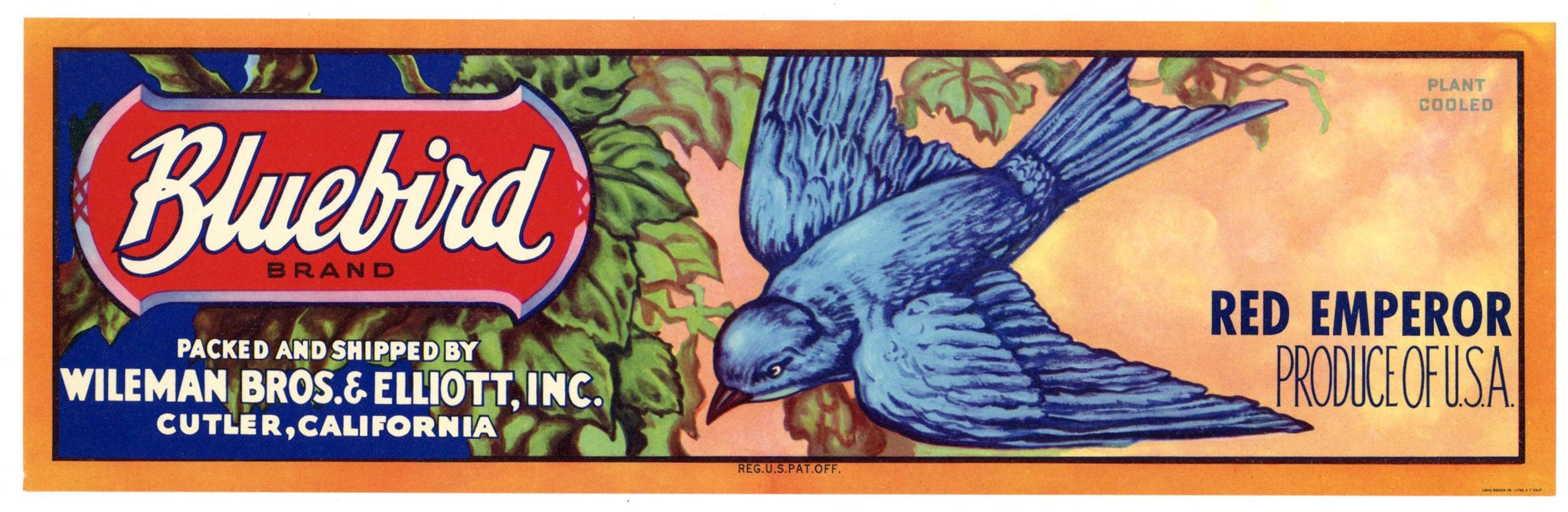 Bluebird Brand Vintage Cutler California Grape Crate Label, Red Emperor