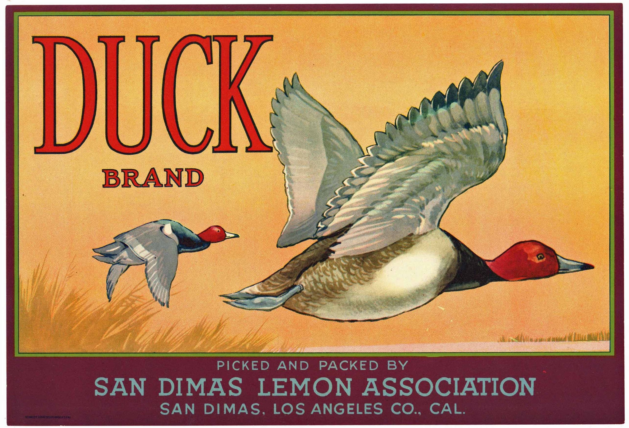 Duck Brand Vintage San Dimas California Lemon Crate Label