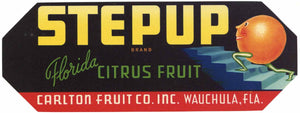 Setup Brand Vintage Wauchula Florida Citrus Crate Label