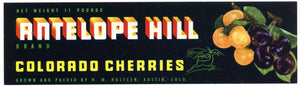 Antelope Hill Brand Vintage Austin Colorado Cherry Crate Label