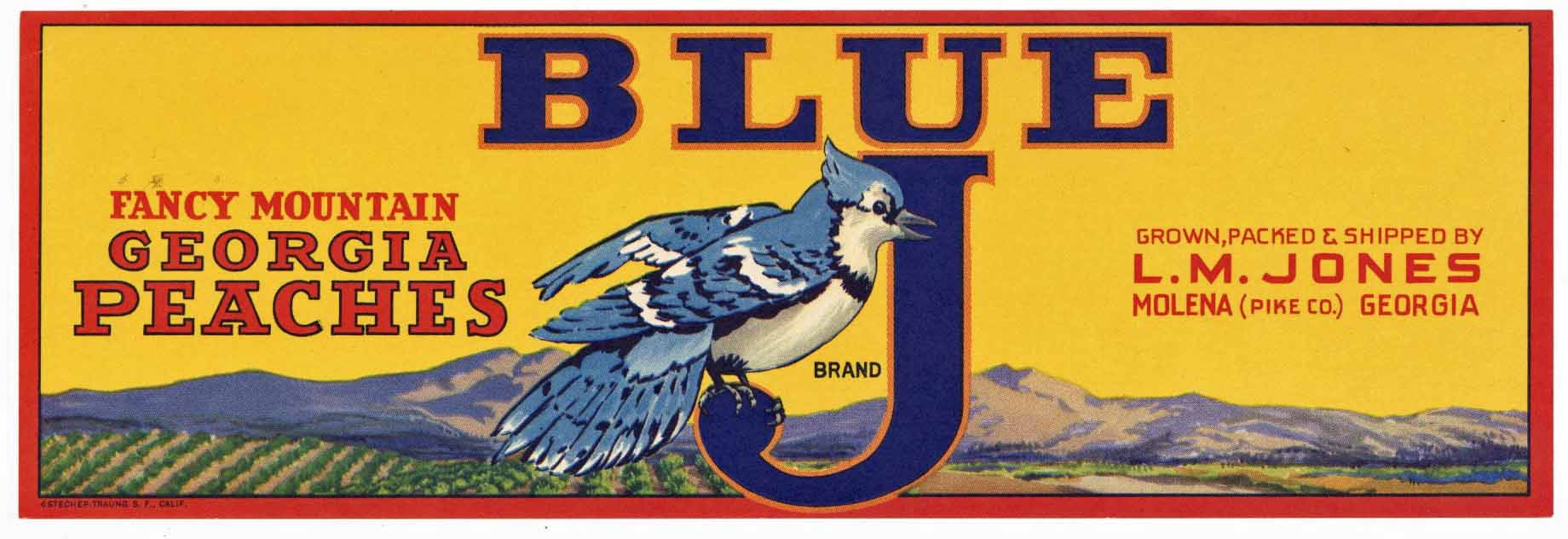 Blue J Brand Vintage Molena Georgia Peach Crate Label