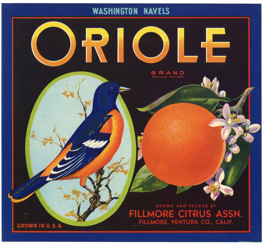 Oriole Brand Vintage Ventura County Orange Crate Label, Washington Navels