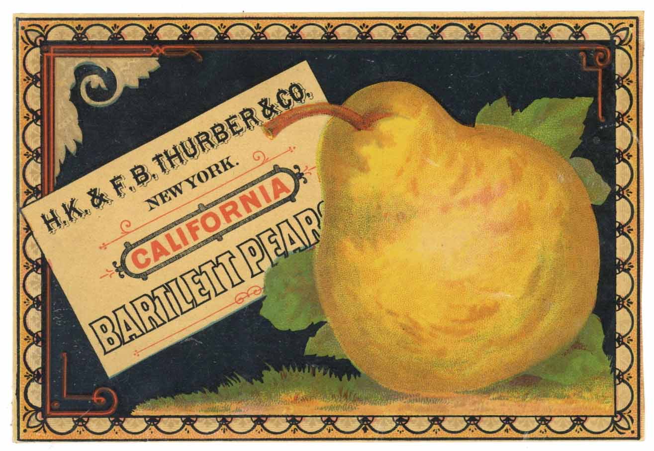 California Bartlett Pears Brand Vintage Thurber Apricot Can Label