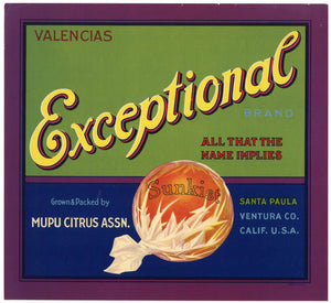 Exceptional Brand Vintage Santa Paula California Orange Crate Label, wear