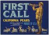 First Call Brand Vintage Sacramento California Pear Crate Label