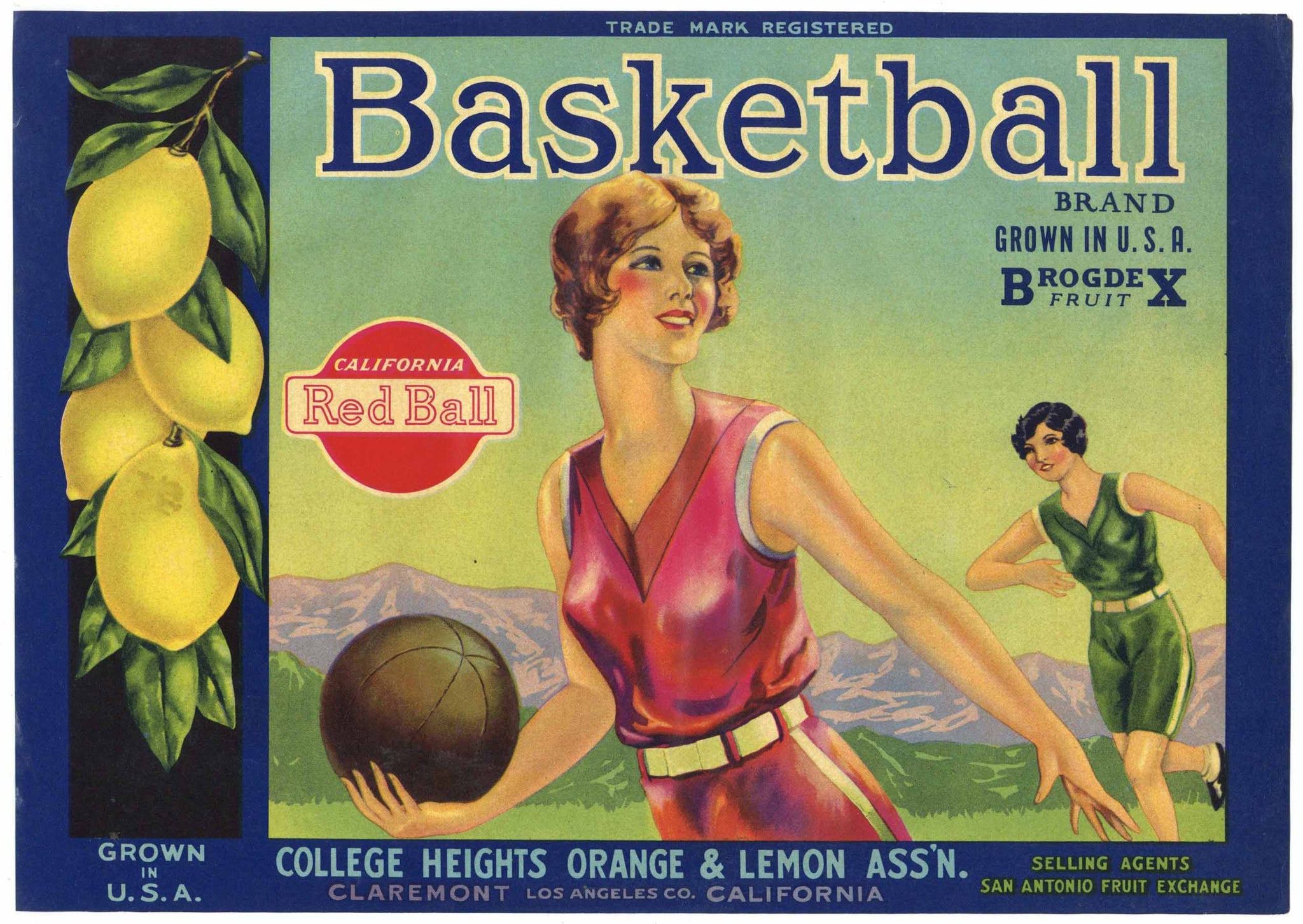 Basketball Brand Vintage Claremont Lemon Crate Label, wave
