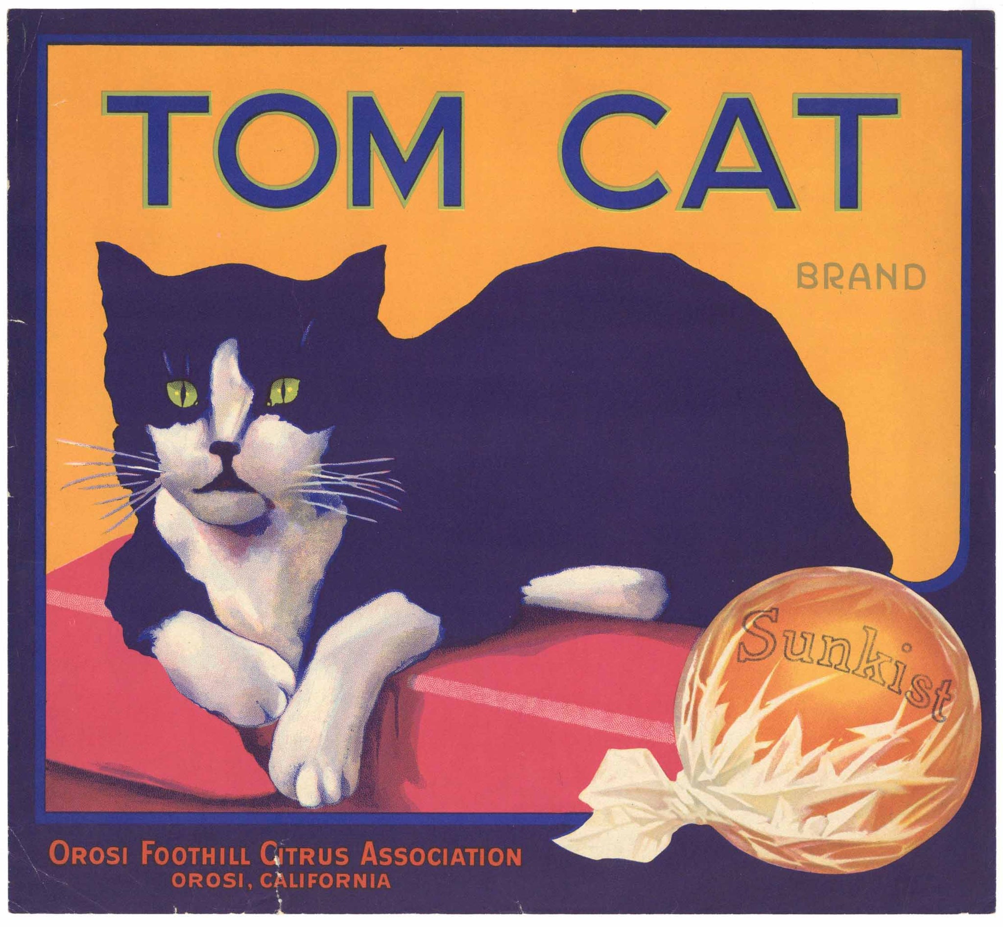 Tom Cat Brand Vintage Orosi California Orange Crate Label, wear