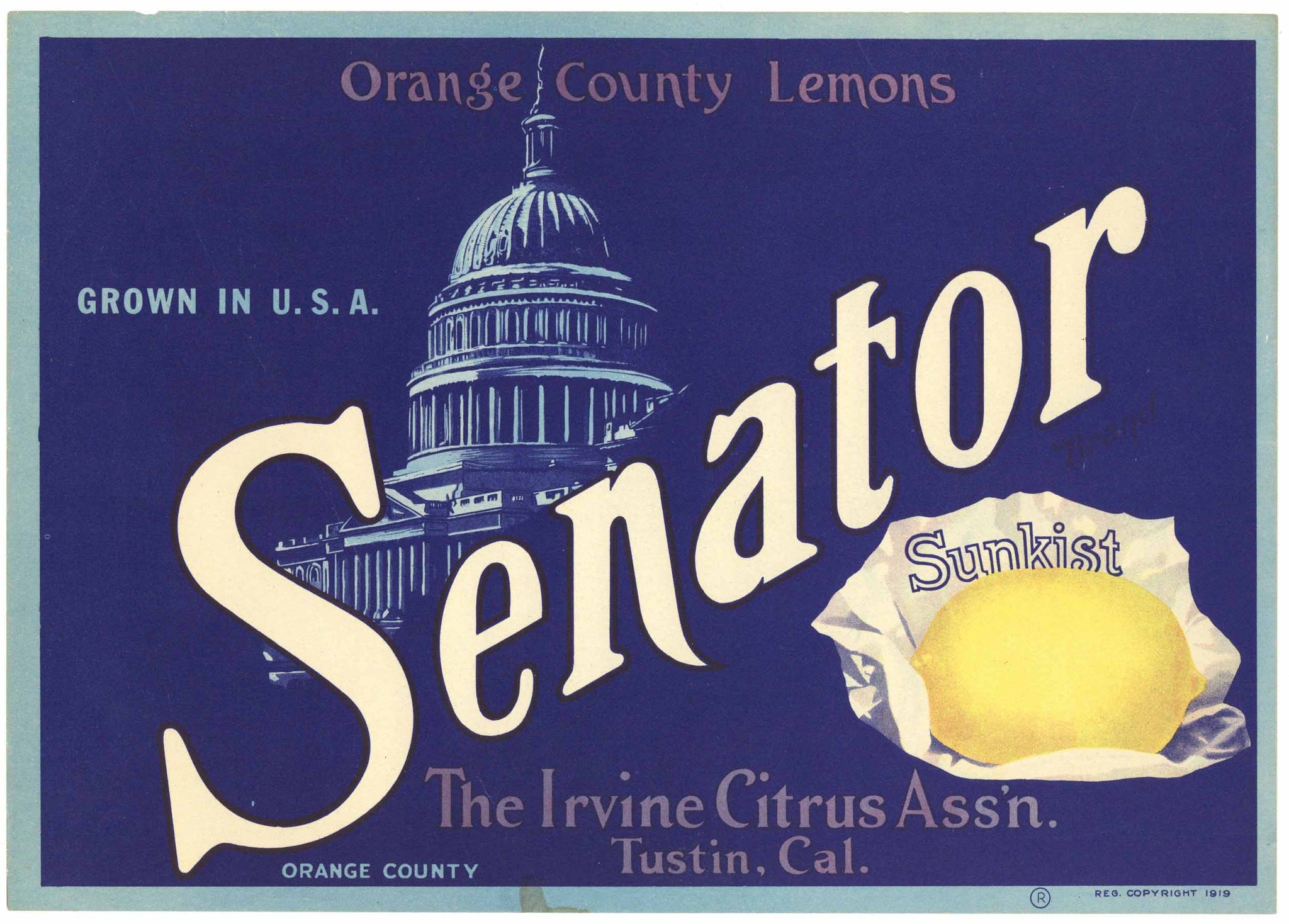 Senator Brand Vintage Tustin California Lemon Crate Label, wear