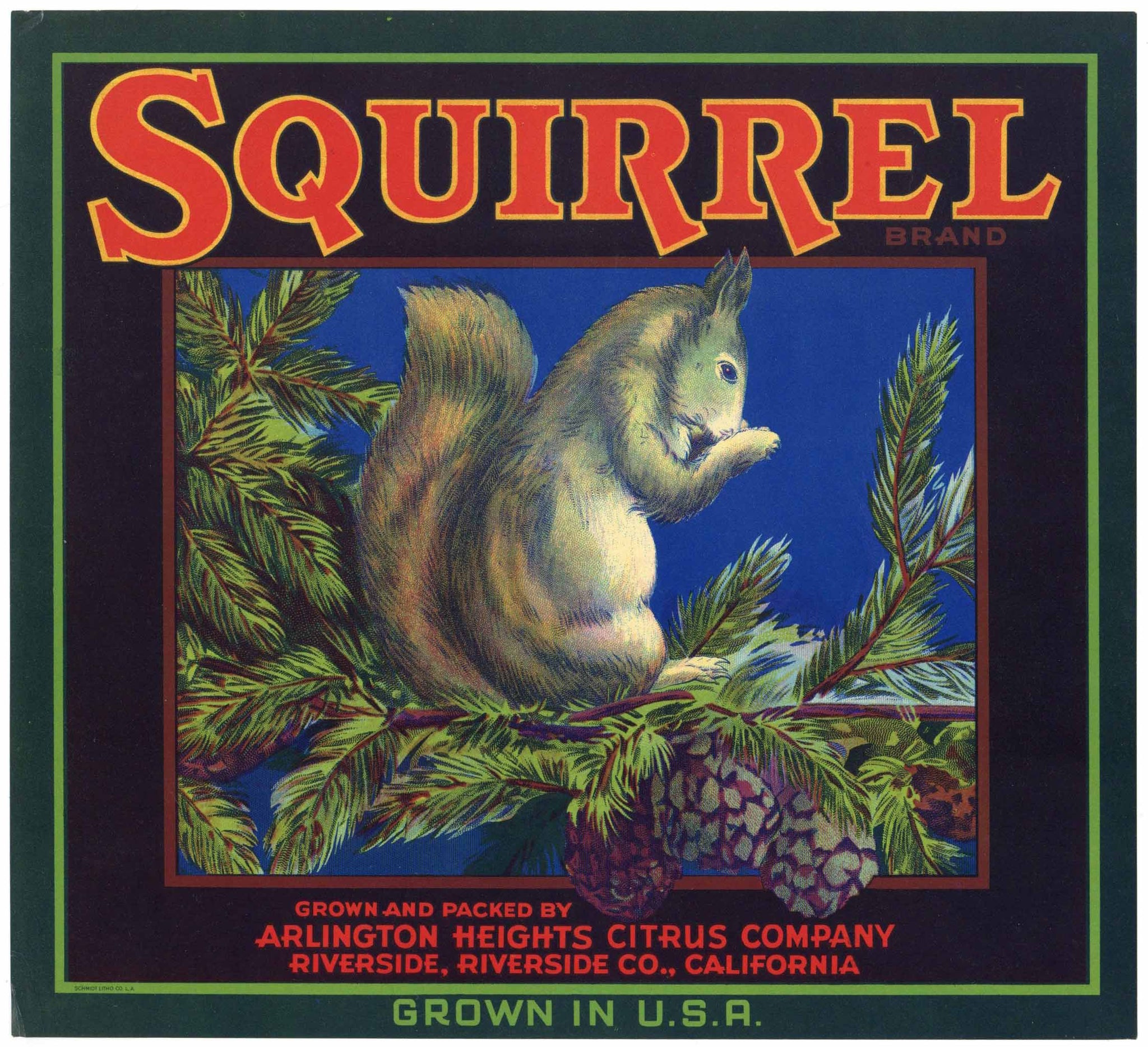 Squirrel Brand Riverside California Orange Crate Label, wear