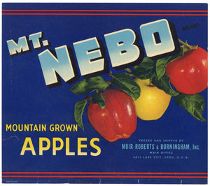 Mt. Nebo Brand Vintage Salt Lake City Utah Apple Crate Label, damage