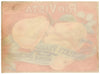 Rio Vista Brand Vintage Sacramento Delta Pear Crate Label