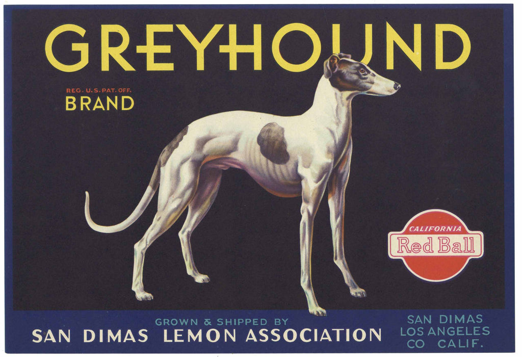 Greyhound Brand Vintage San Dimas Lemon Crate Label