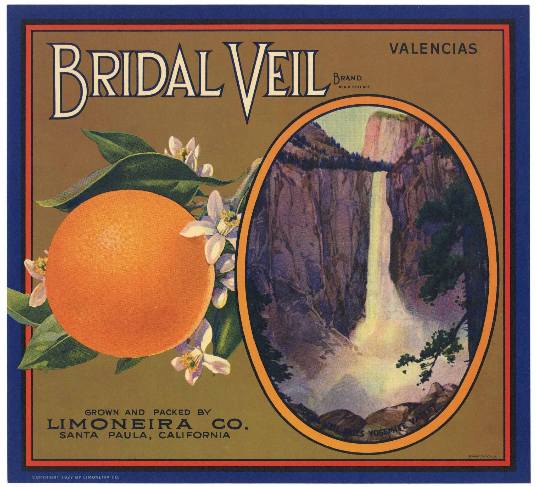 Bridal Veil Brand Vintage Santa Paula Orange Crate Label