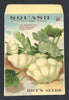 Squash Antique Rice's Seed Packet, White Bush Scallop