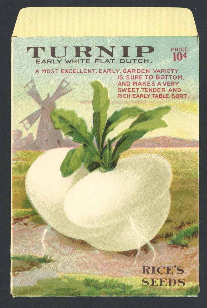 Turnip Antique Rice's Seed Packet, White Flat Dutch