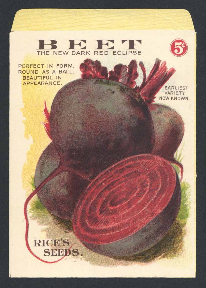 Beet Antique Rice's Seed Packet, Dark Red Eclipse