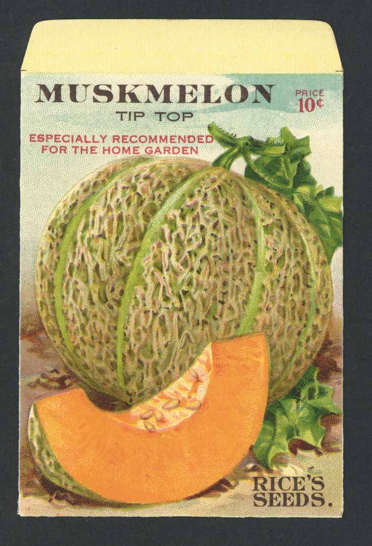 Muskmelon Antique Rice's Seed Packet, Tip Top